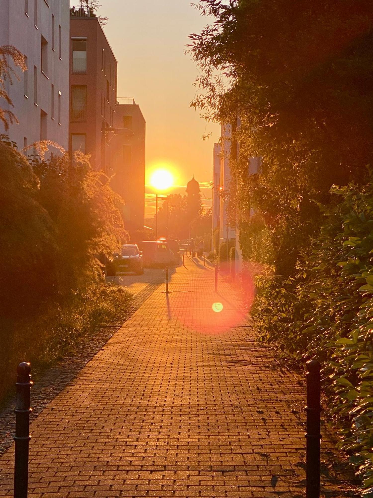 Schoene Aussichten Mitten In Berlin - Il Sole Extérieur photo