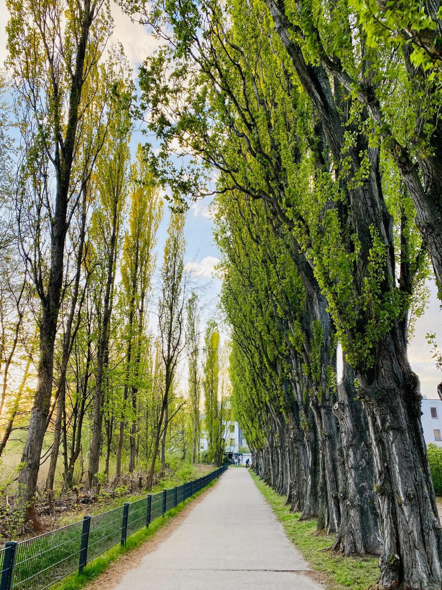 Schoene Aussichten Mitten In Berlin - Il Sole Extérieur photo